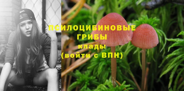 MDMA Алзамай