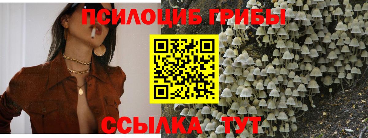 Псилоцибиновые грибы Psilocybine cubensis  Галлюциногенные грибы MAGIC MUSHROOMS  Вход с VPN  Гуково 
